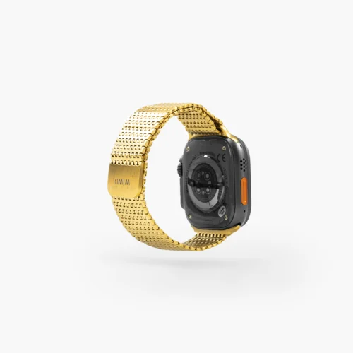 Banda inoxidable para reloj